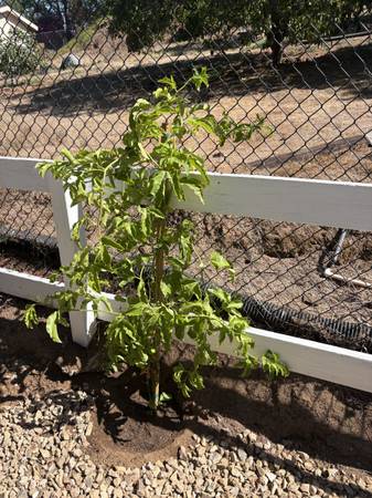 Affordable Landscaping Services - Fast &amp; Friendly - farm &amp; garden services