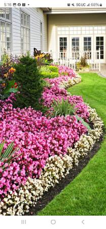 RAY'S LANDSCAPING 🇺🇸🇺🇸🌷 mesa Check out our photos - farm &amp; garden services