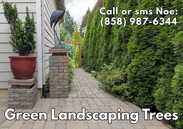 🔷GREEN Landscaping, Gardening, Concrete, Trees, Maintenance, more.🔷 - farm &amp; garden services