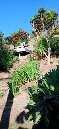 GARDENING MAINTENANCE CLEAN UPS.WEED WACKIN CALLME FREE ESTIMATE PRICE REASONABL - farm &amp; garden services