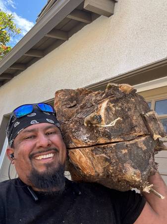 NEW🇺🇸🇺🇸! 15%discount available -Tree service and gardening - farm &amp; garden services