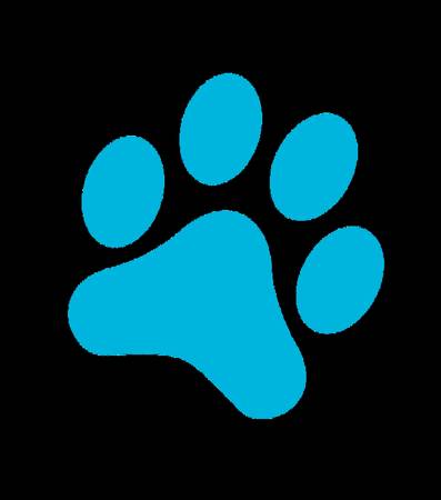 Associate Veterinarian at Richmond Valley Veterinary Practice - healthcare - job employment