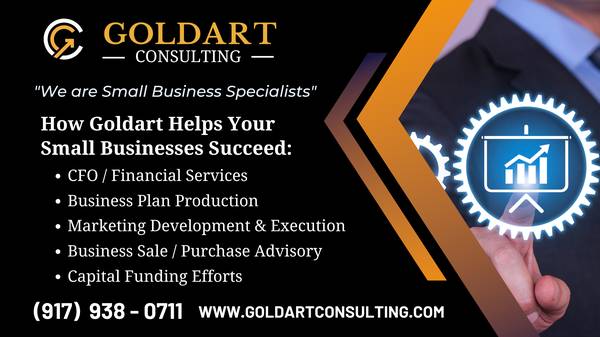 VIRTUAL CFO PART-TIME - financial services