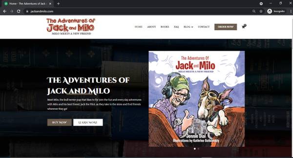 Professional WordPress Web Developer/Web3/PHP w/SEO Keywords $100+ - computer services