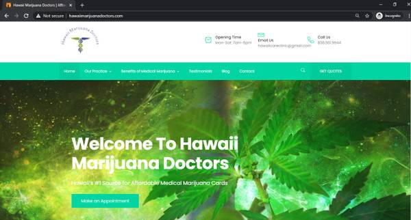 Professional WordPress Web Developer/Web3/PHP w/SEO Keywords $100+ - computer services picture