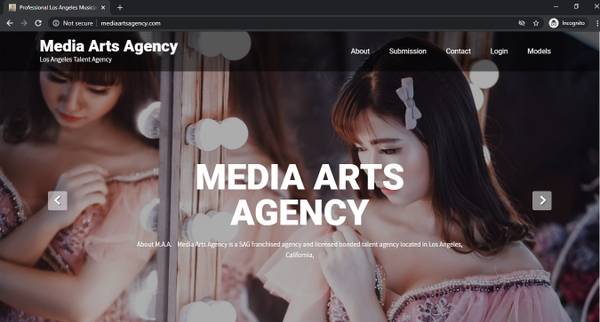 Professional WordPress Web Developer/Web3/PHP w/SEO Keywords $100+ - computer services picture