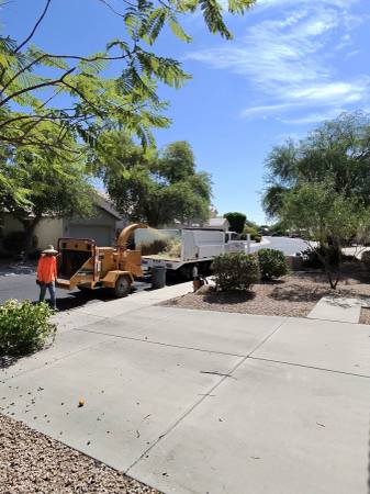 Tree Removal/ Trimming, Stump grind, Turf/Hardscape Design, Commercial - farm &amp; garden services