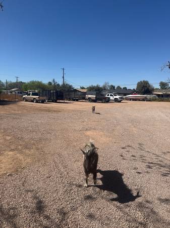 Parkings for rent - farm &amp; garden services