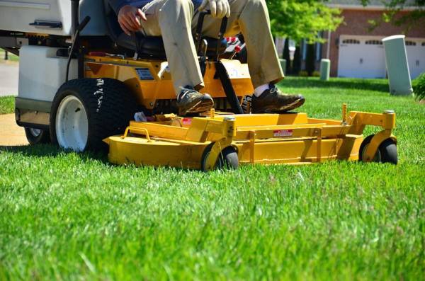 🌿Landscaping • Lawn Care • Weed Control • Yard Clean Ups🌿 - farm &amp; garden services