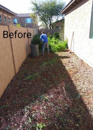 Yard clean up, Weed removal, Tree trimming. - farm &amp; garden services