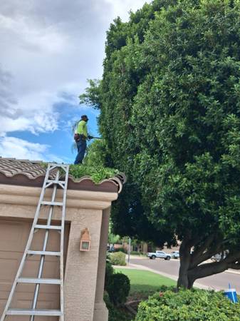 MEL &amp; SON'S 🌲TREE REMOVAL 🌴LANDSCAPE - farm &amp; garden services