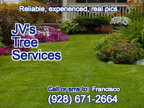 🔷VELAZCO Tree Specialist. Removal, Trimming, more. Dependable.🔷 - farm &amp; garden services