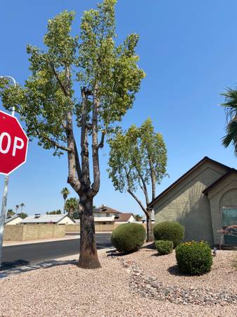 Landscape clean-ups and maintence❗️Affordable tree services❗️ - farm &amp; garden services