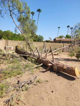 🌳Any Tree Removal 🌳 $150 - farm &amp; garden services