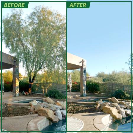 TREE REMOVAL SERVICE 🌳🌴🌵 - farm &amp; garden services