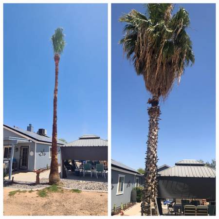 Emergency Tree REMOVAL (Fair Prices) - farm &amp; garden services