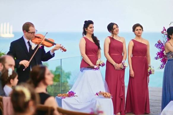 Violinist / Musician - event services