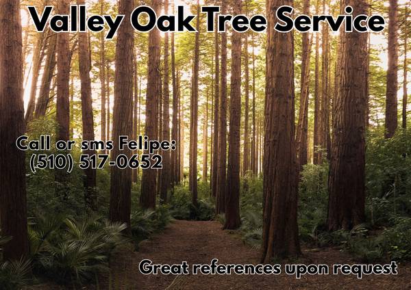 🌳Felipe's Tree Specialist, Removal, Clean Ups, more. References🌳 - farm &amp; garden services