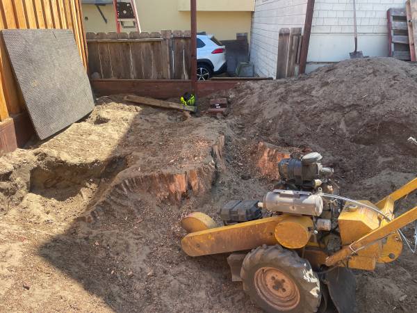 TREE &amp;STUMP GRINDING &amp;STUMP REMOVAL SERVICE - farm &amp; garden services