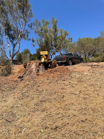 TREE &amp;STUMP GRINDING &amp;STUMP REMOVAL SERVICE - farm &amp; garden services