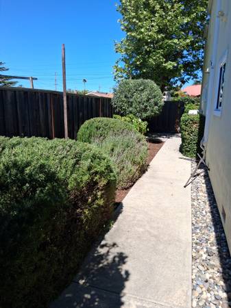Yard cleanup &amp; gardening - farm &amp; garden services