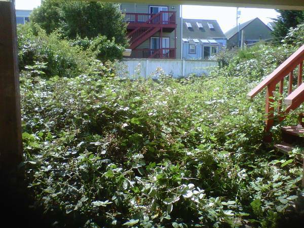 Discount Clean-Up Gardening - farm &amp; garden services