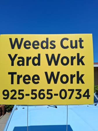🌾Weed Cutting🍁Yard clean up🌿🌾Landscaping🏡🌳 Tree work🌲Paul - farm &amp; garden services