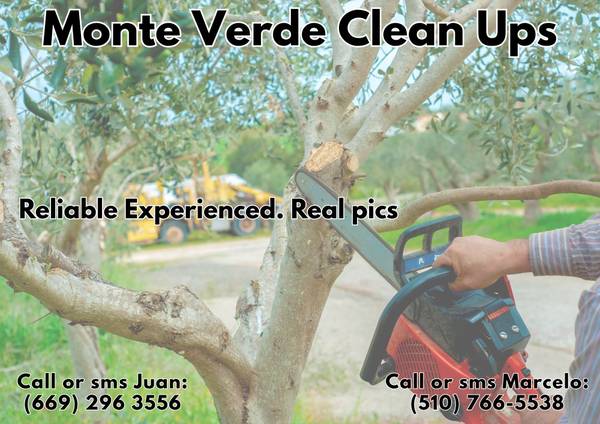 ✅Monte Verde Tree Specialist. Removal, Trimming, more. Dependable✅ - farm &amp; garden services