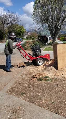 🪵 STUMP GRINDING / STUMP REMOVAL🪵 - farm &amp; garden services