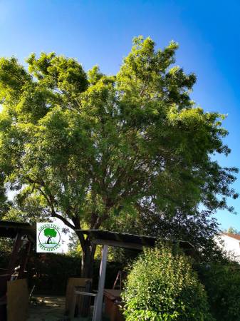 Green View Tree Service - farm &amp; garden services