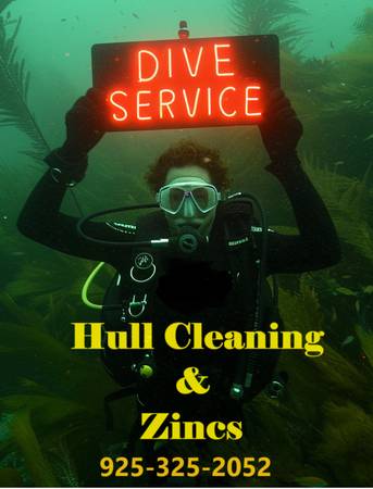 ~~~~~DIVER~~HULL CLEANING~~__/)~~ - marine services