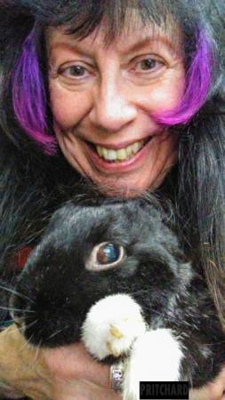Bunny Rabbit Pet Sitter East Bay - pet services: dog walking, sitting, boarding &amp; training
