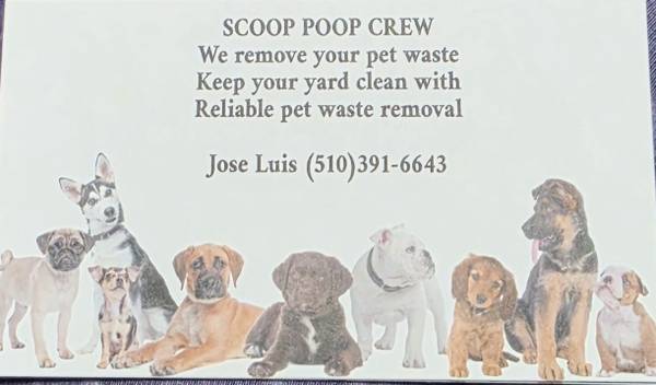 Professional Dog Waste Removal - pet services: dog walking, sitting, boarding &amp; training