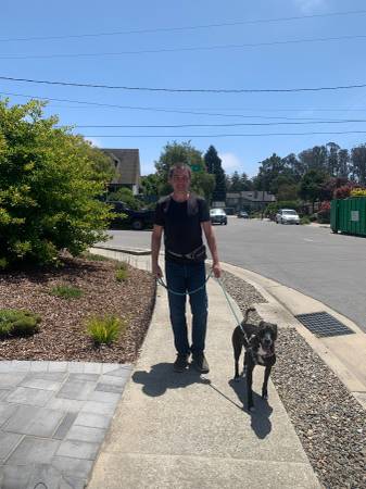 $25 Walks, $65.00 Night House Sitting-Pawsitively the Best Dog Care! - pet services: dog walking, sitting, boarding &amp;...
