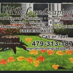MR Landscaping- Fall Cleanup (Springdale)