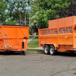 Junk Removal Same day service! Single Item Removal! (Clovis Fresno Sanger Madera Foothills)