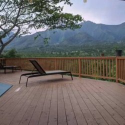 Deck and Fence Build or Repair (Maui)