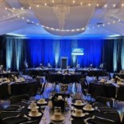 Do You Want A Stunning Wedding or Event?  $0.00
