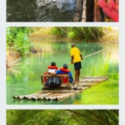 Tour operator (St James/ Kingston)
