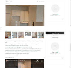 Web Design that Captivates and Converts | Web Design Services (917) 651-8495