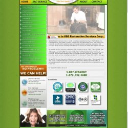 Expert WordPress Development Services | Web Design Services +1(917) 651-8495 picture