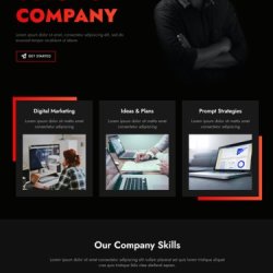 Custom CMS Development for Your Needs | Web Design Services +1(917) 651-8495 picture