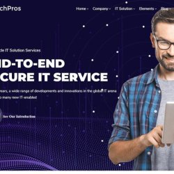 Web Accessibility Services for All Users | Web Design Services +1(917) 651-8495