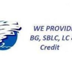 We are direct providers of Fresh Cut BG, SBLC and LC