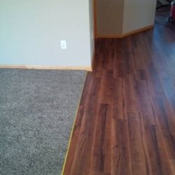 PAINTER and HANDYMAN. (mankato mn)