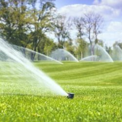 prinkler system/ Tree removal &amp;trimming (ypsilanti/saline/ Canton/ann arbor/Livonia/)